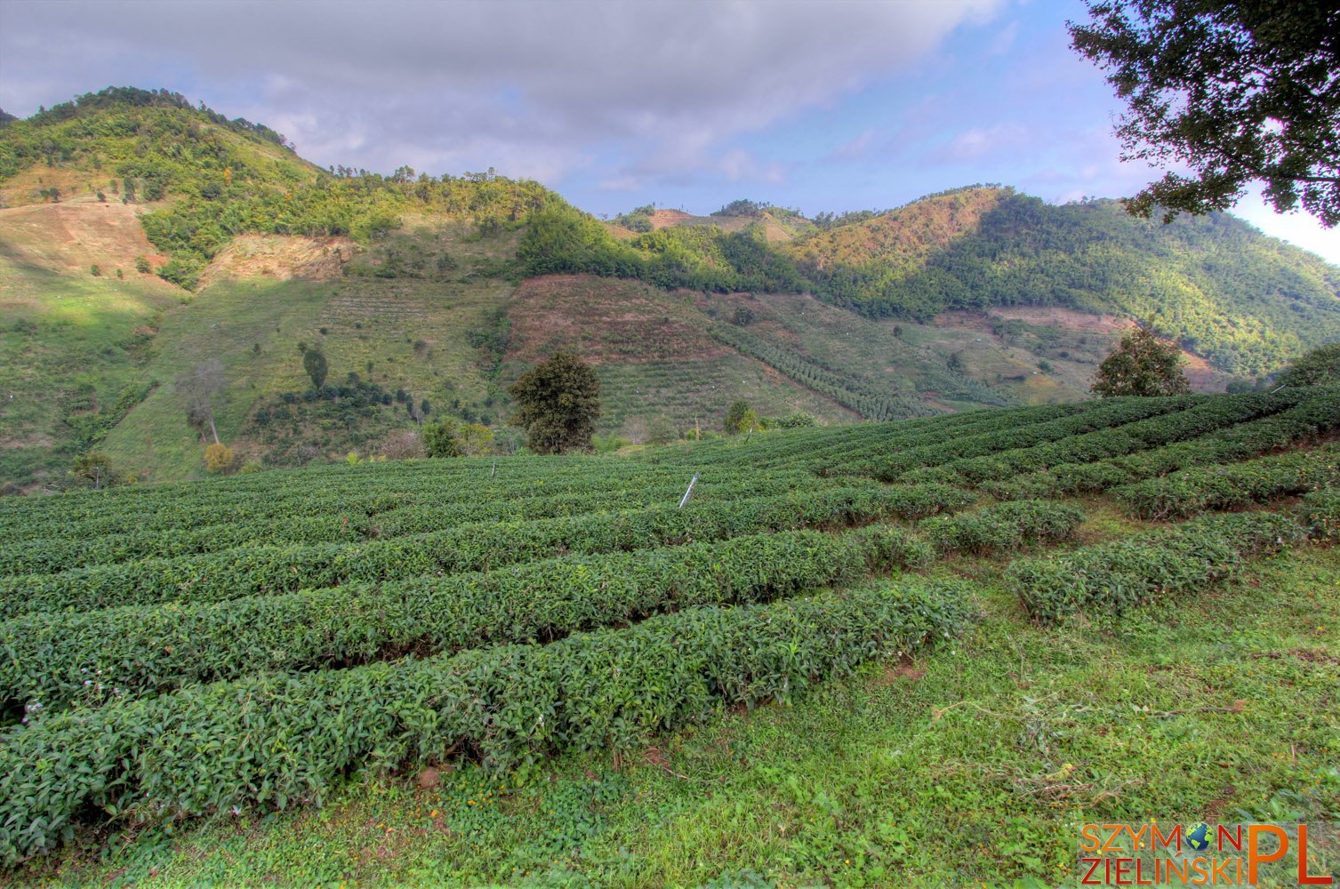 Doi Mae Salong, Chiang Rai province, Thailand - Szymon Zieliński - My ...